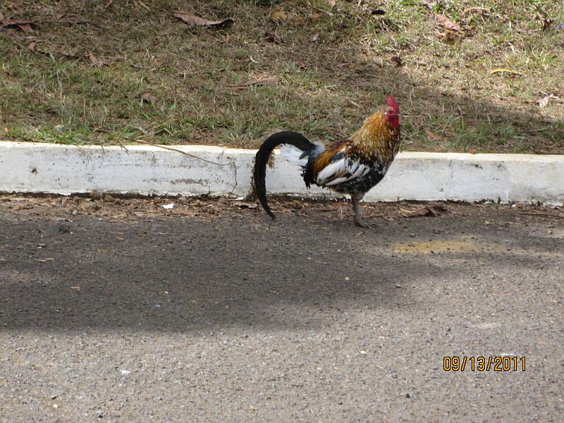 Picture 039